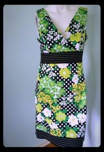 dby Ltd. Spring floral dress